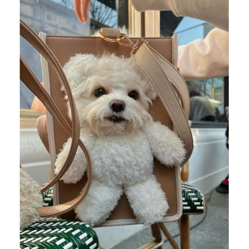 épine pets bear bag（5color） | épine
