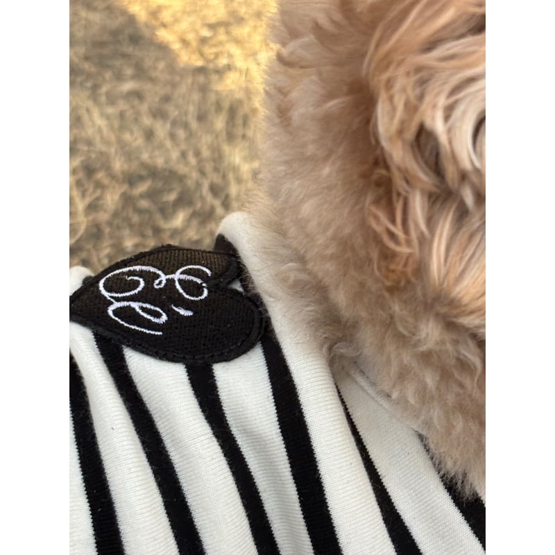 エピヌ　epine　犬　犬服 épine pets PARIS tee | épine
