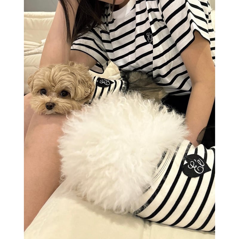 エピヌ　epine　犬　犬服 エピヌepine犬犬服