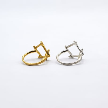 Branch ring 21
