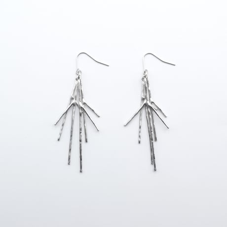 Branch pierce 02