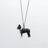 WITH Collection - Boston Terrier