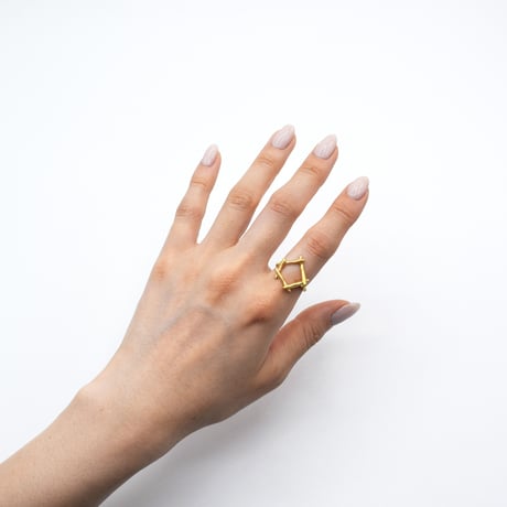 Branch ring 21