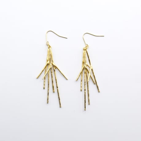 Branch pierce 02