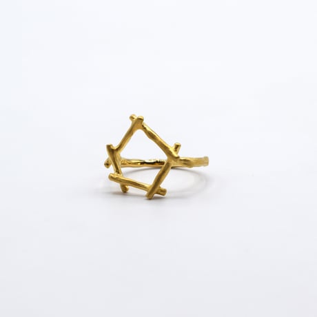 Branch ring 21