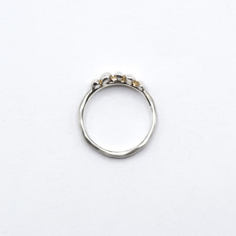 Ice ring 02