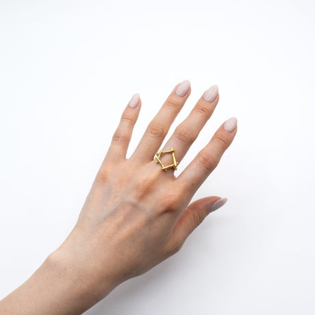 Branch ring 21