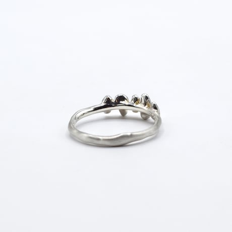 Ice ring 02
