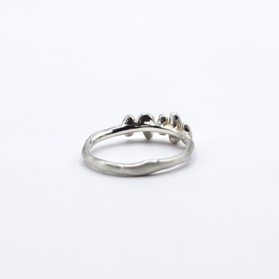 5ca47f240686f33b558e30e9