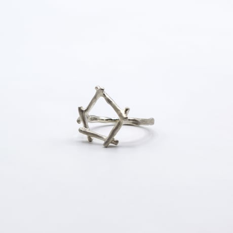 Branch ring 21