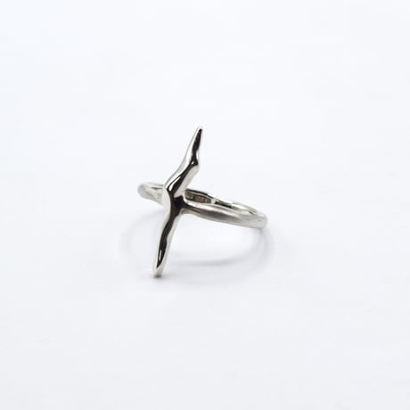 Ice ring 01