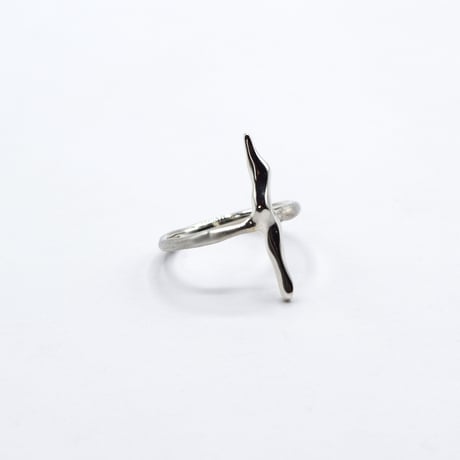 Ice ring 01