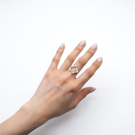 Branch ring 21