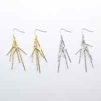 Branch pierce 02