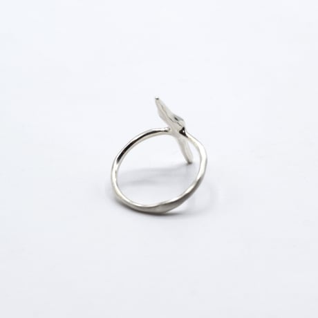 Ice ring 01