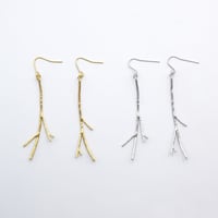 Branch pierce 01