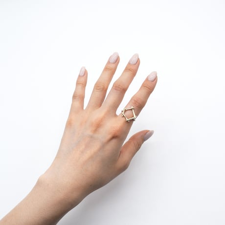 Branch ring 21
