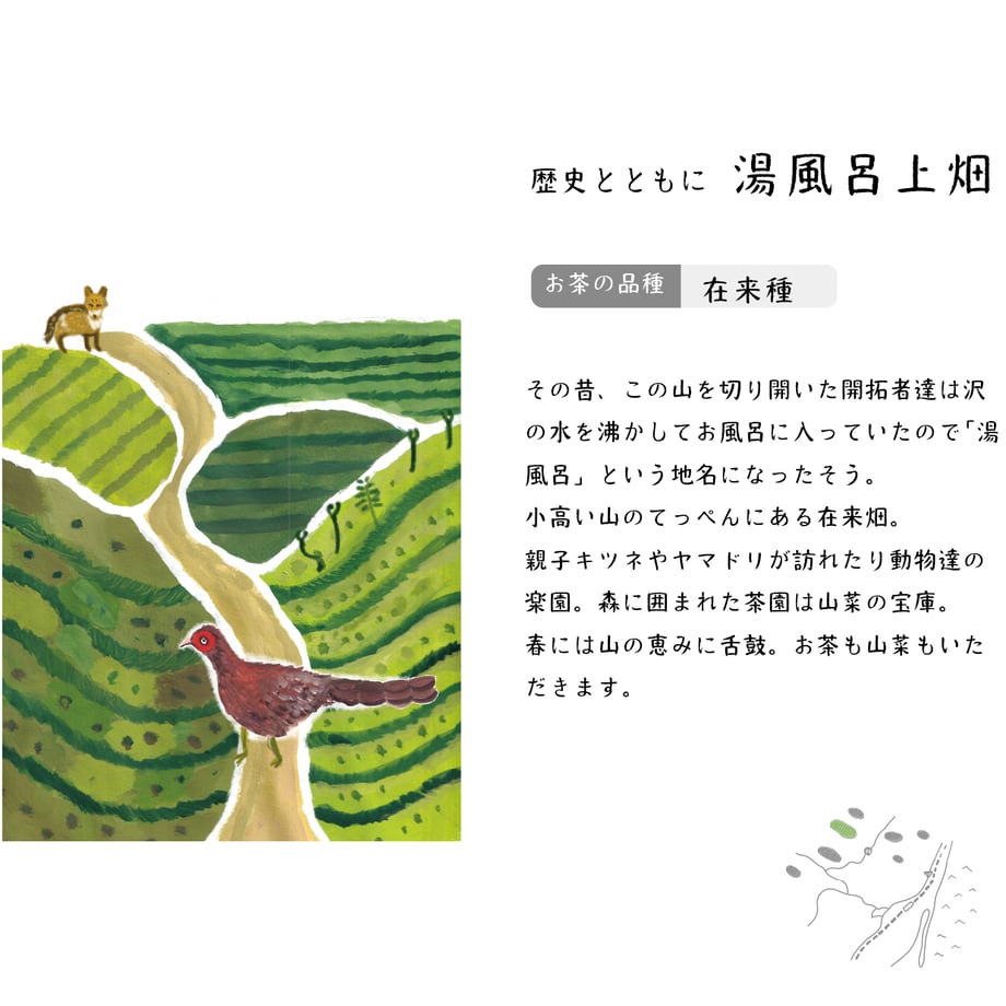 6809788cd44503ac6e59f336