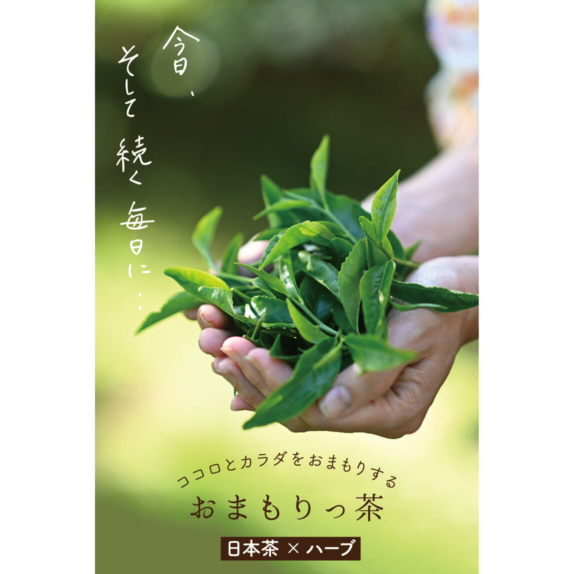 お香　チベット産　天然無添加　化学物質無し　浄化　癒し　安眠　運気向上　高級 お香チベット産天然無添加化学物質無し浄化癒し安眠運気向上高級