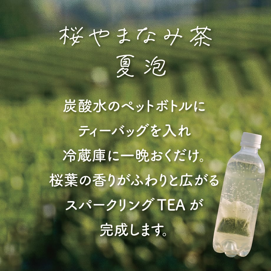 6a45b4f752cef915ea418662