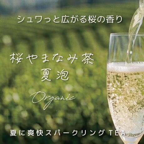 シュワっと広がる桜の香り「桜やまなみ茶-夏泡」