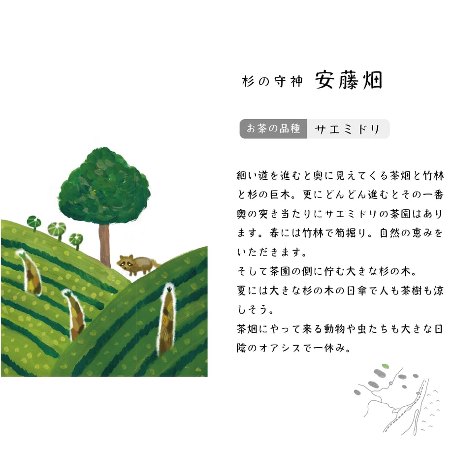 6809788cd44503ac6e59f336
