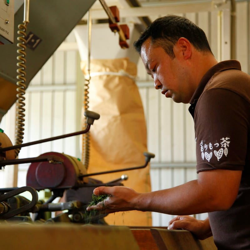 茶農家 健太郎の煎茶 | 宮崎県新富町オーガニックお茶農家「もりもっ茶