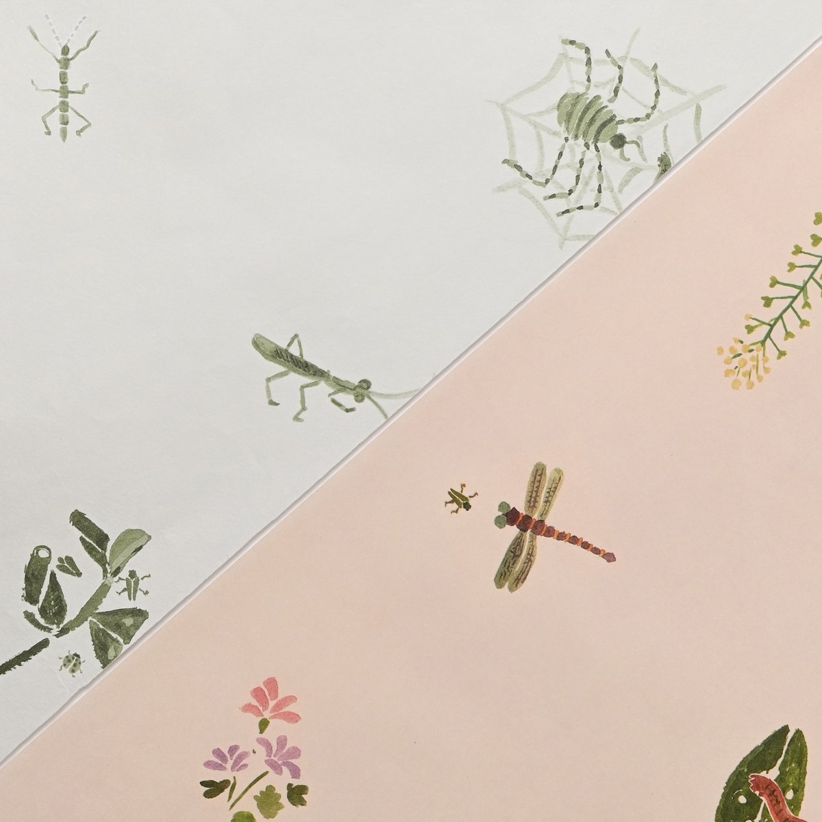 お茶セット 茶畑めぐり・有機水出し茶セット | 宮崎県新富町オーガニックお茶農家