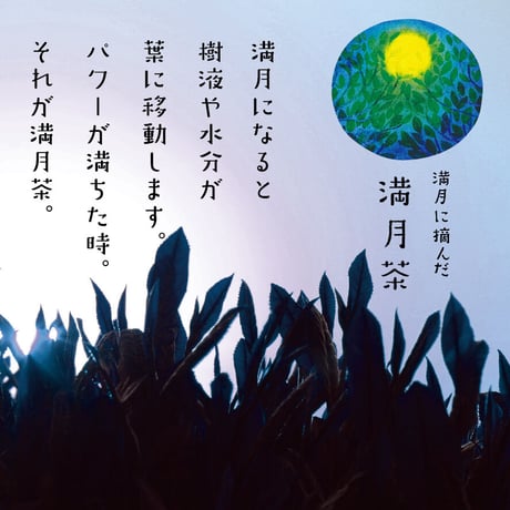 【満月茶ほうじ茶】満月に摘んだお茶のほうじ茶