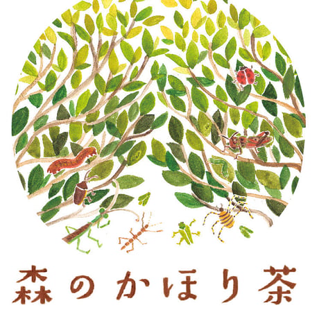 【森のかほり茶（旧名：うんか茶）BOX】うんかが噛んだ香りある煎茶