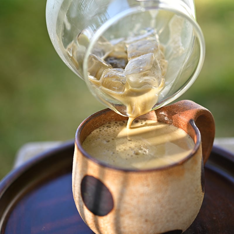 豊かな香ばしさ＞焙じ茶パウダー(Hojicha Powder)50g | 宮崎県新富町