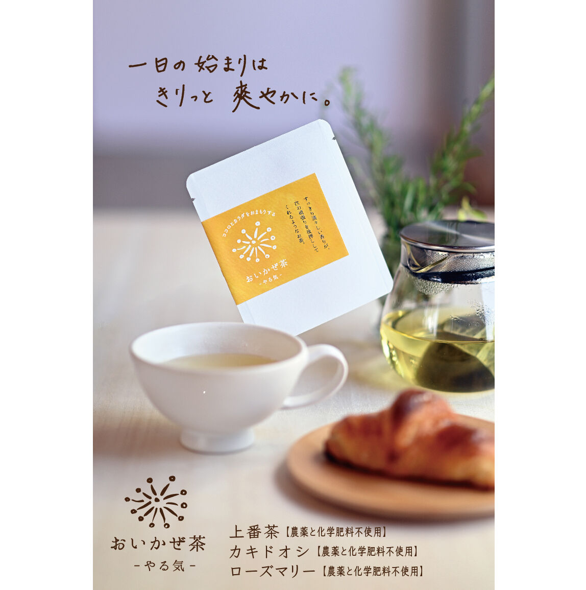 おまもりっ茶-おいかぜ茶-やる気 | 宮崎県新富町オーガニックお茶農家