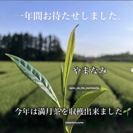 【満月茶（２パック入）】満月に摘んだお茶
