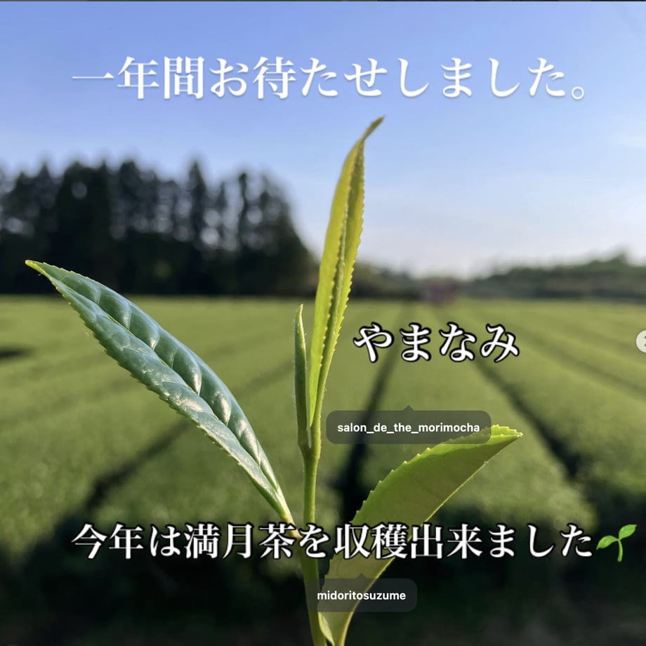 59c44c16ed05e6624e000529