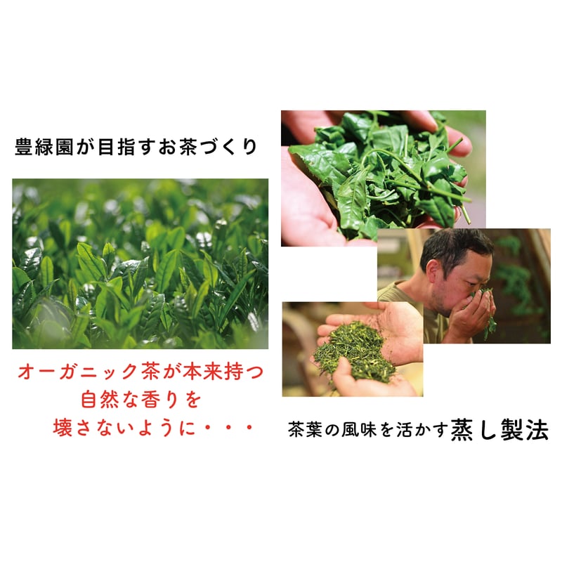 うまみ緑茶】有機水出し緑茶 | 宮崎県新富町オーガニックお茶農家