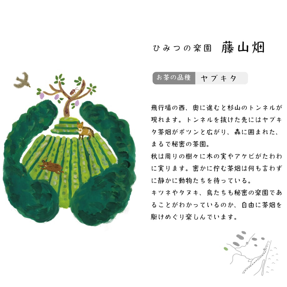 6809788cd44503ac6e59f336