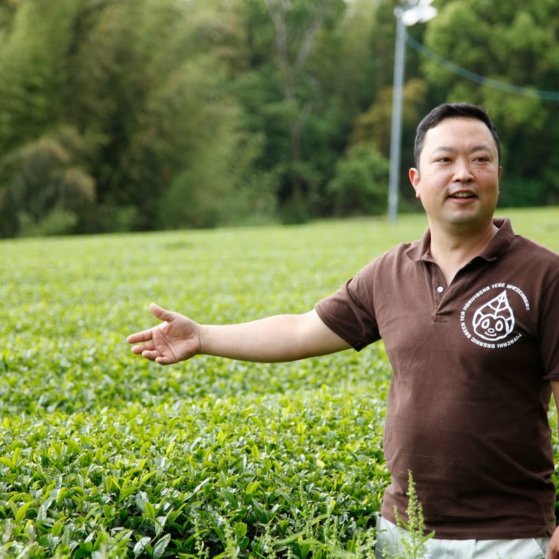 茶農家 健太郎の煎茶 | 宮崎県新富町オーガニックお茶農家「もりもっ茶