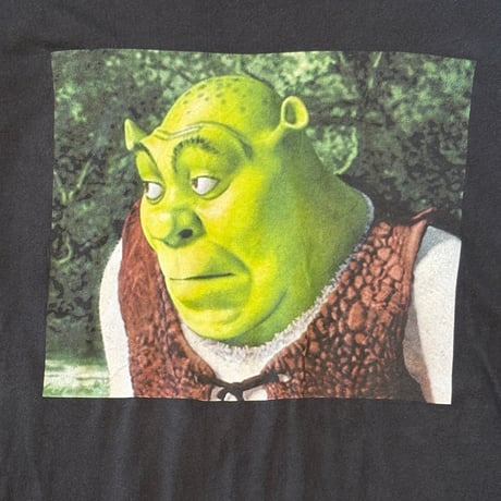 [Used]  Shrek / Dream Works / T-shirt / sizeS