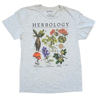 [Used] Harry Potter / herbology / T-shirt / sizeM