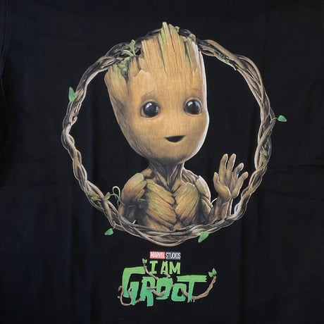 IAMGROOT