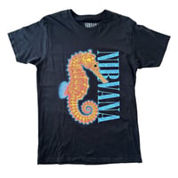 Nirvana / seahorse