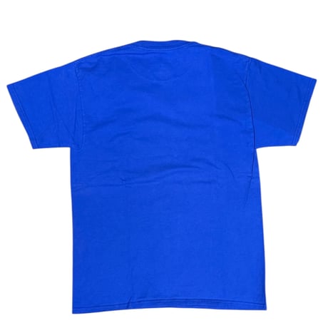 [Used] It’s a small world / Disney / T-shirt / sizeM