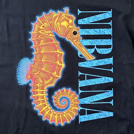 Nirvana / seahorse