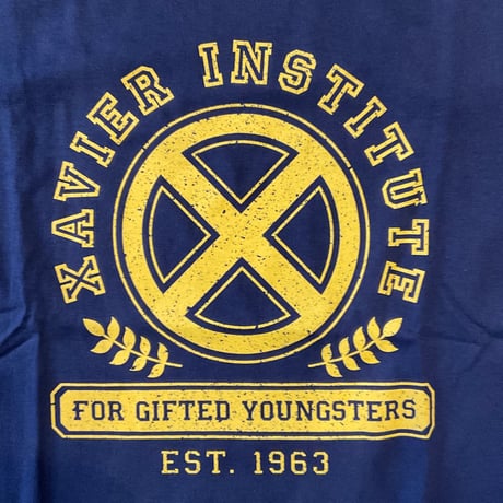 X-Mansion