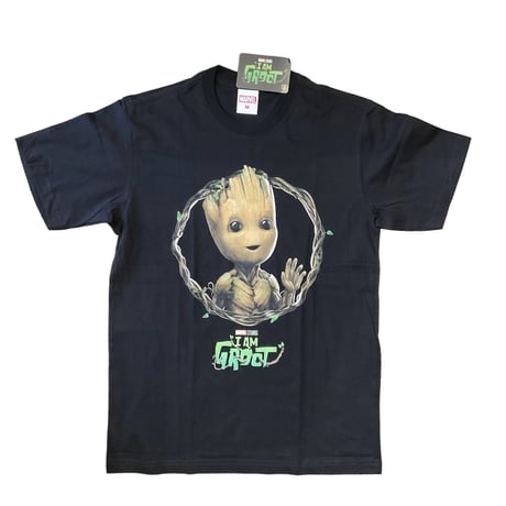 IAMGROOT