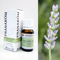 【topkomaさま】PRANAROM  ティートゥリー  BIO 10ml ティートゥリー [10ml] | perfume onlineshop