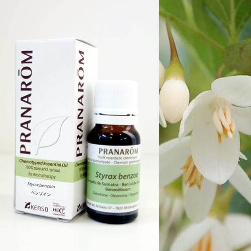 ベンゾイン [10ml] | perfume onlineshop