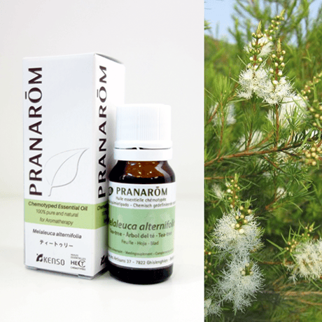 CATEGORY 精油【プラナロム】 | perfume onlineshop