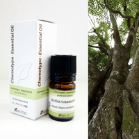 ジャーマンカモミール　5ml ジャーマンカモミール5ml