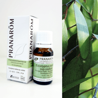 【ハッピーマムさま】PRANAROM ゼラニウムエジプト 10ml プラナロム ゼラニウム・エジプト – プラナロム エッセンシャルオイル・精油